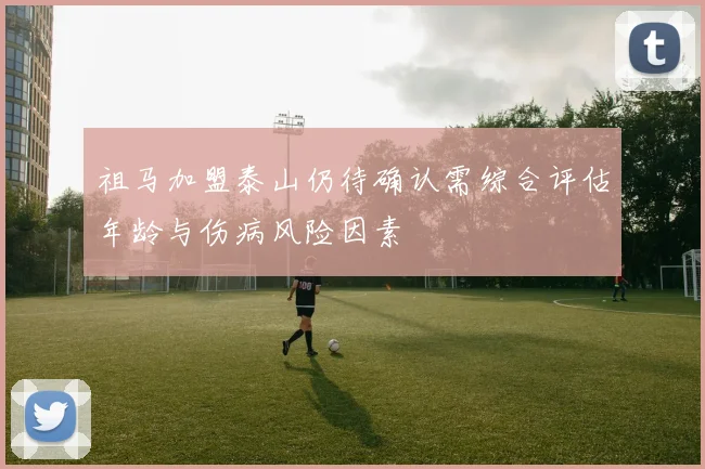 祖马加盟泰山仍待确认需综合评估年龄与伤病风险因素