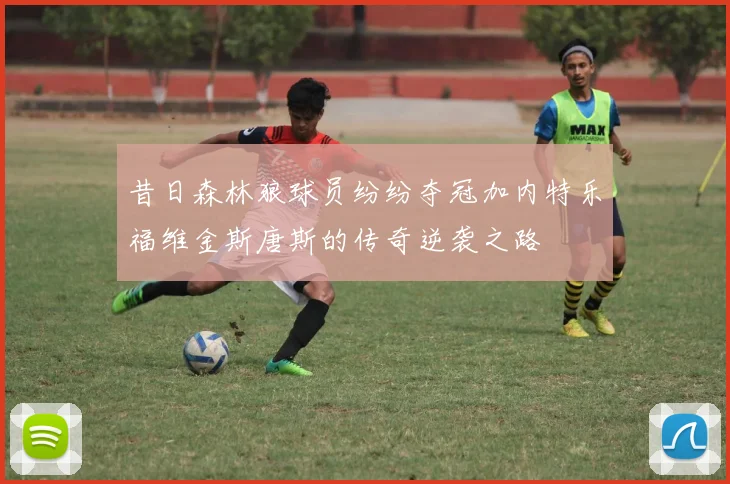 昔日森林狼球员纷纷夺冠加内特乐福维金斯唐斯的传奇逆袭之路